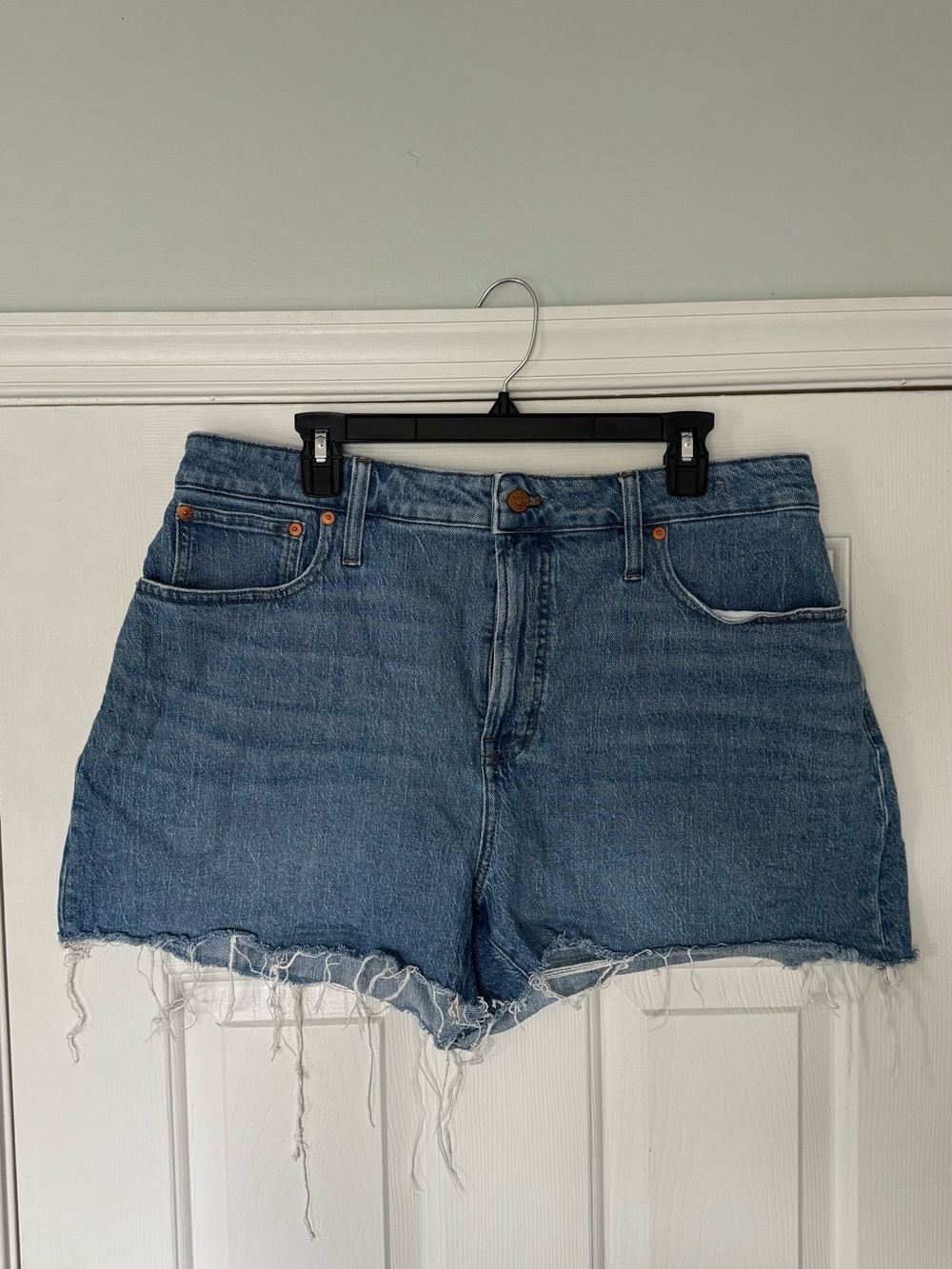 Madewell Distressed Denim Shorts